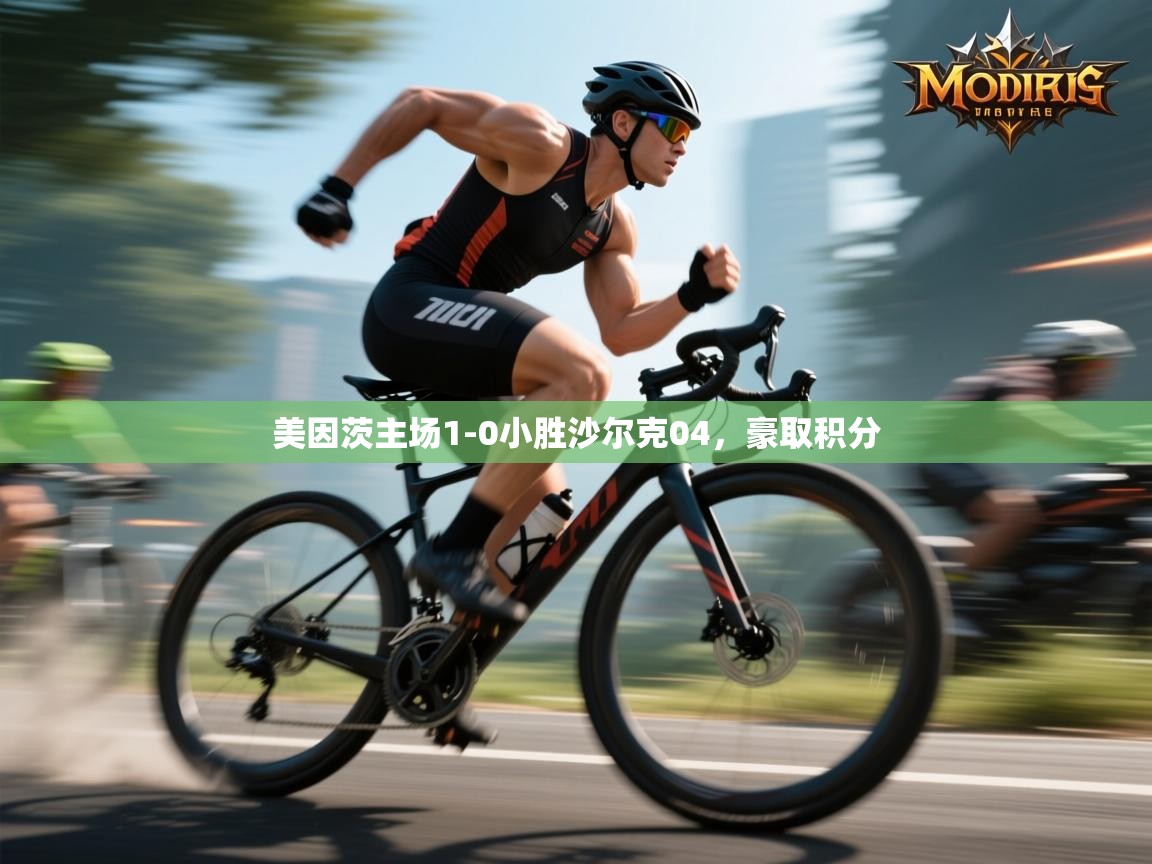 美因茨主场1-0小胜沙尔克04,豪取积分