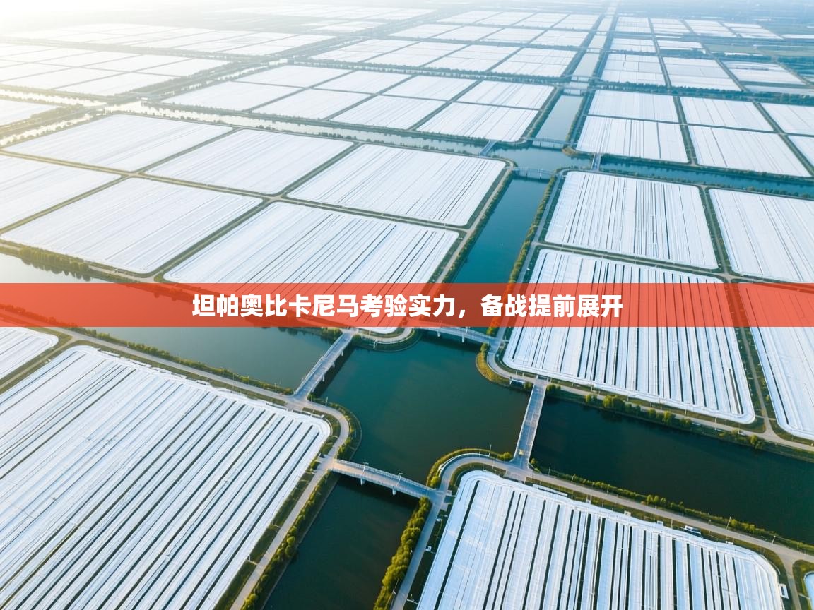 坦帕奥比卡尼马考验实力,备战提前展开